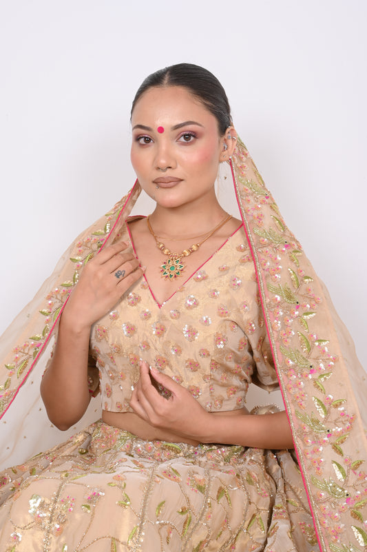 Chamak Lehenga